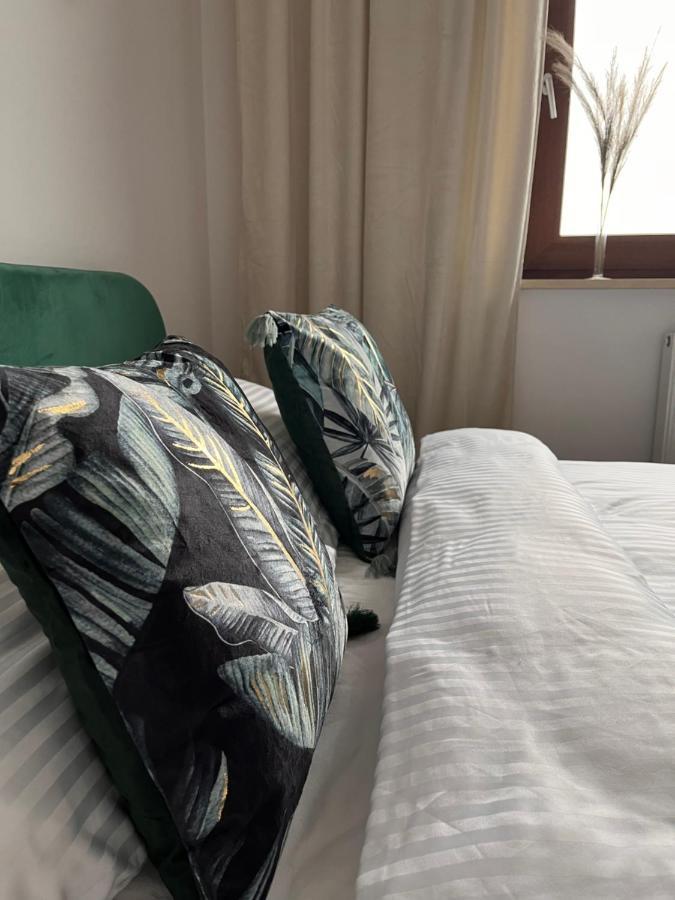 شقة Piotrków Trybunalski  في Apartament Reymonta Park المظهر الخارجي الصورة